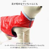 ペットウェア 犬服 猫 秋 冬 防寒 かわいい xqcw026 | BACKYARD FAMILY | 詳細画像5