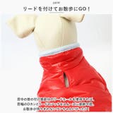 ペットウェア 犬服 猫 秋 冬 防寒 かわいい xqcw026 | BACKYARD FAMILY | 詳細画像6