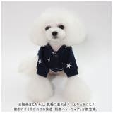 犬服 秋 冬 防寒 ペット服 かわいい xdy011 | BACKYARD FAMILY | 詳細画像2