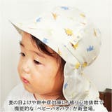 ベビーバオバブ | BACKYARD FAMILY | 詳細画像2 