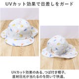 ベビーバオバブ | BACKYARD FAMILY | 詳細画像4 