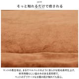 ペットマット 秋 冬 dlm045s | BACKYARD FAMILY | 詳細画像5