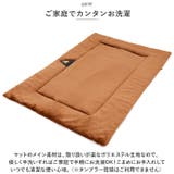 ペットマット 秋 冬 dlm045s | BACKYARD FAMILY | 詳細画像8