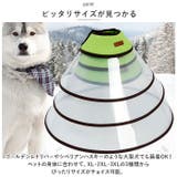 エリザベスカラー 大型犬 ペット用品 fslp017 | BACKYARD FAMILY | 詳細画像8