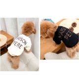 ペットウェア 犬服 ペット服 春 秋 冬 かわいい qxq2701 | BACKYARD FAMILY | 詳細画像11