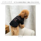 ペットウェア 犬服 ペット服 春 秋 冬 かわいい qxq2701 | BACKYARD FAMILY | 詳細画像14