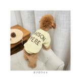ペットウェア 犬服 ペット服 春 秋 冬 かわいい qxq2701 | BACKYARD FAMILY | 詳細画像16