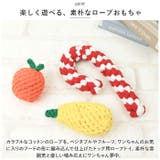 ペットおもちゃ pkbq012 | BACKYARD FAMILY | 詳細画像3