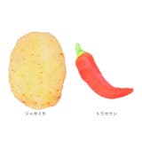 ペット用 玩具 マタタビ 猫用 xjcattoy01 | BACKYARD FAMILY | 詳細画像16 