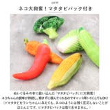 ペット用 玩具 犬用 xjdogtoy03 | BACKYARD FAMILY | 詳細画像6