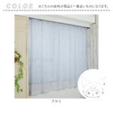 キャラクター レースカーテン 2枚組 | BACKYARD FAMILY | 詳細画像15 