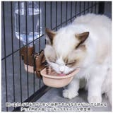 ペット給水器 pmypetwater01 | BACKYARD FAMILY | 詳細画像2
