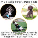 犬 ハーネス 介護用 pmyhanesu30 | BACKYARD FAMILY | 詳細画像3 