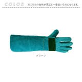 ペット グローブ 45cm spetglove45 | BACKYARD FAMILY | 詳細画像11