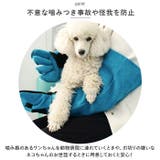 ペット グローブ 45cm spetglove45 | BACKYARD FAMILY | 詳細画像4