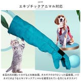 ペット グローブ 45cm spetglove45 | BACKYARD FAMILY | 詳細画像8