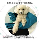 ペット グローブ 60cm spetglove60 | BACKYARD FAMILY | 詳細画像4