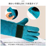 ペット グローブ 60cm spetglove60 | BACKYARD FAMILY | 詳細画像6