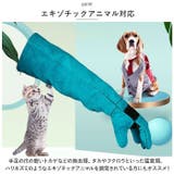 ペット グローブ 60cm spetglove60 | BACKYARD FAMILY | 詳細画像8