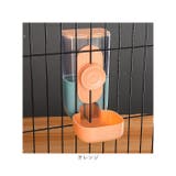 ペット 自動給水器 自動給餌器 pk0012 | BACKYARD FAMILY | 詳細画像18 