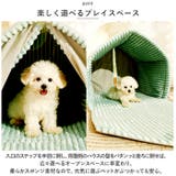 ペットハウス pk022w | BACKYARD FAMILY | 詳細画像8 