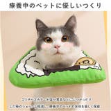 エリザベスカラー pk21g | BACKYARD FAMILY | 詳細画像5 