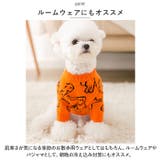 ペットウェア ニット 秋冬 yk2104c | BACKYARD FAMILY | 詳細画像9