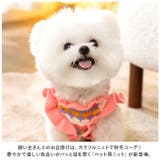 ペットウェア ニット 秋冬 yk2312s | BACKYARD FAMILY | 詳細画像2
