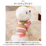 ペットウェア ニット 秋冬 yk2312s | BACKYARD FAMILY | 詳細画像9