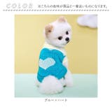 ペットウェア ニット 秋冬 ykmy001 | BACKYARD FAMILY | 詳細画像13