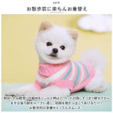 ペットウェア ニット 秋冬 ykmy001 | BACKYARD FAMILY | 詳細画像4