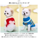 ペットウェア ニット 秋冬 ykmy001 | BACKYARD FAMILY | 詳細画像9