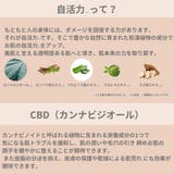 マリエラン オールインワン クリーム 保湿 化粧水 50g | BACKYARD FAMILY | 詳細画像4