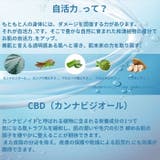 マリエラン メンズ オールイワン クリーム 化粧水 50g | BACKYARD FAMILY | 詳細画像4