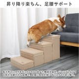 ペット用 ステップボックス ddpet01 | BACKYARD FAMILY | 詳細画像6