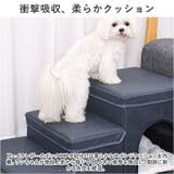 ペット用 ステップ 3段 ddpet02 | BACKYARD FAMILY | 詳細画像6 