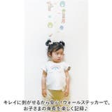 キャラクター 身長計ウォールステッカー | BACKYARD FAMILY | 詳細画像2 