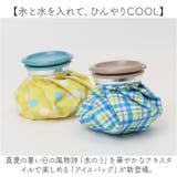 アイスバッグ | BACKYARD FAMILY | 詳細画像2 
