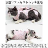 ペット術後服 猫傷舐め防止 ykp0012 | BACKYARD FAMILY | 詳細画像4