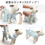 ペット術後服 猫傷舐め防止 ykp0012 | BACKYARD FAMILY | 詳細画像5