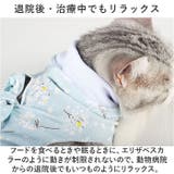 ペット術後服 猫傷舐め防止 ykp0012 | BACKYARD FAMILY | 詳細画像6