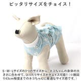 ペット術後服 猫傷舐め防止 ykp0012 | BACKYARD FAMILY | 詳細画像8