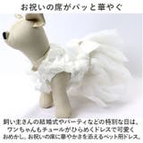 ペットウェア ウェディングドレス kpetwd04 | BACKYARD FAMILY | 詳細画像3