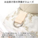 ペットウェア ウェディングドレス kpetwd07 | BACKYARD FAMILY | 詳細画像7 