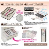 炭消臭 仕切収納ケース 6ポケット | BACKYARD FAMILY | 詳細画像10