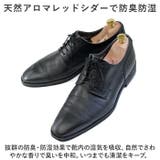 DONOK アロマティック レッドシダーキーパー | BACKYARD FAMILY | 詳細画像3 