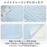 おねしょシーツ pk6070 | BACKYARD FAMILY | 詳細画像3 