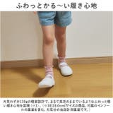 キッズ 上履き 室内シューズ 無地 幅広 gshoes6016 | BACKYARD FAMILY | 詳細画像6