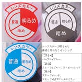 スワンズ SWANS SR | BACKYARD FAMILY | 詳細画像11