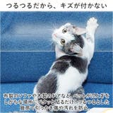 保護テープ ktape04 | BACKYARD FAMILY | 詳細画像3
